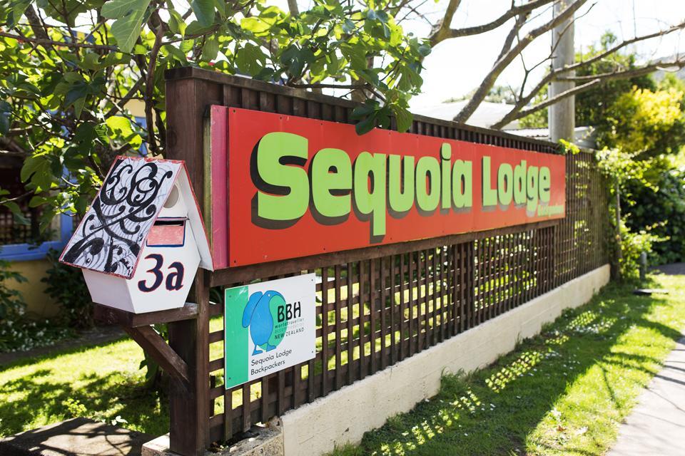 Sequoia Lodge Backpackers Picton Ngoại thất bức ảnh